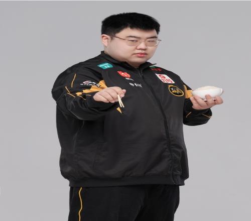 osi旗帜